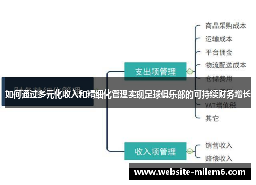 如何通过多元化收入和精细化管理实现足球俱乐部的可持续财务增长